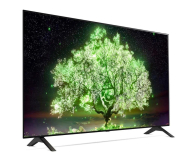 LG OLED48A13LA - 663097 - zdjęcie 5